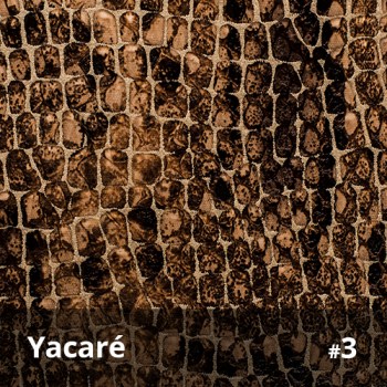 Yacaré 3
